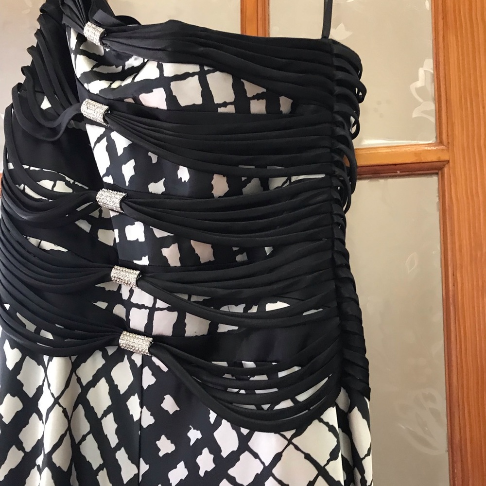 Terani Couture Evening Gown - Picture 9 of 9
